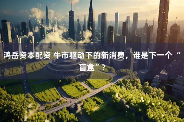 鸿岳资本配资 牛市驱动下的新消费，谁是下一个 “盲盒”？