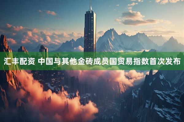 汇丰配资 中国与其他金砖成员国贸易指数首次发布