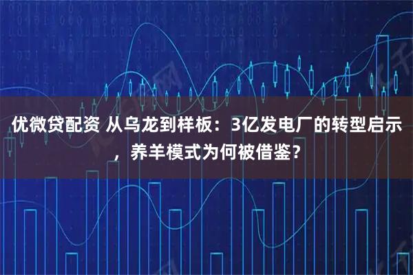 优微贷配资 从乌龙到样板：3亿发电厂的转型启示，养羊模式为何被借鉴？