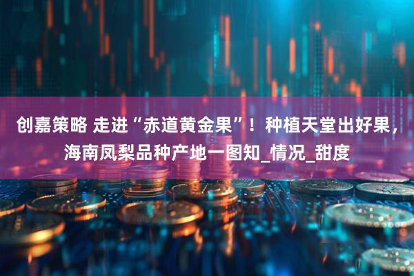 创嘉策略 走进“赤道黄金果”！种植天堂出好果，海南凤梨品种产地一图知_情况_甜度