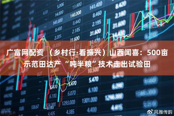 广富网配资 （乡村行·看振兴）山西闻喜：500亩示范田达产 “吨半粮”技术走出试验田